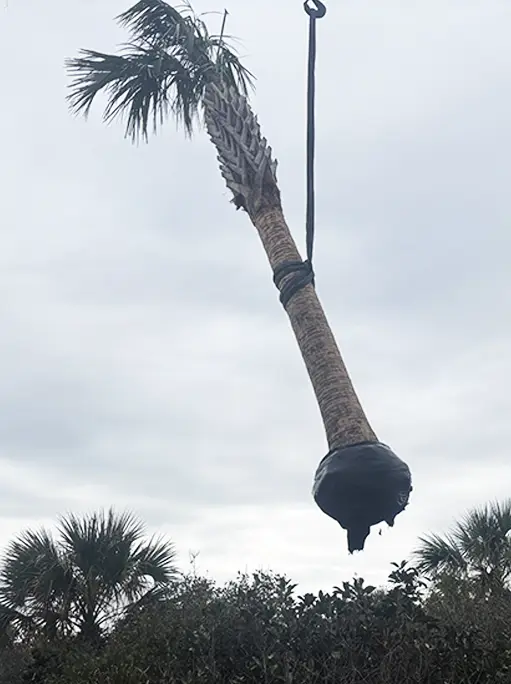 ponte vedra commercial landscape installation